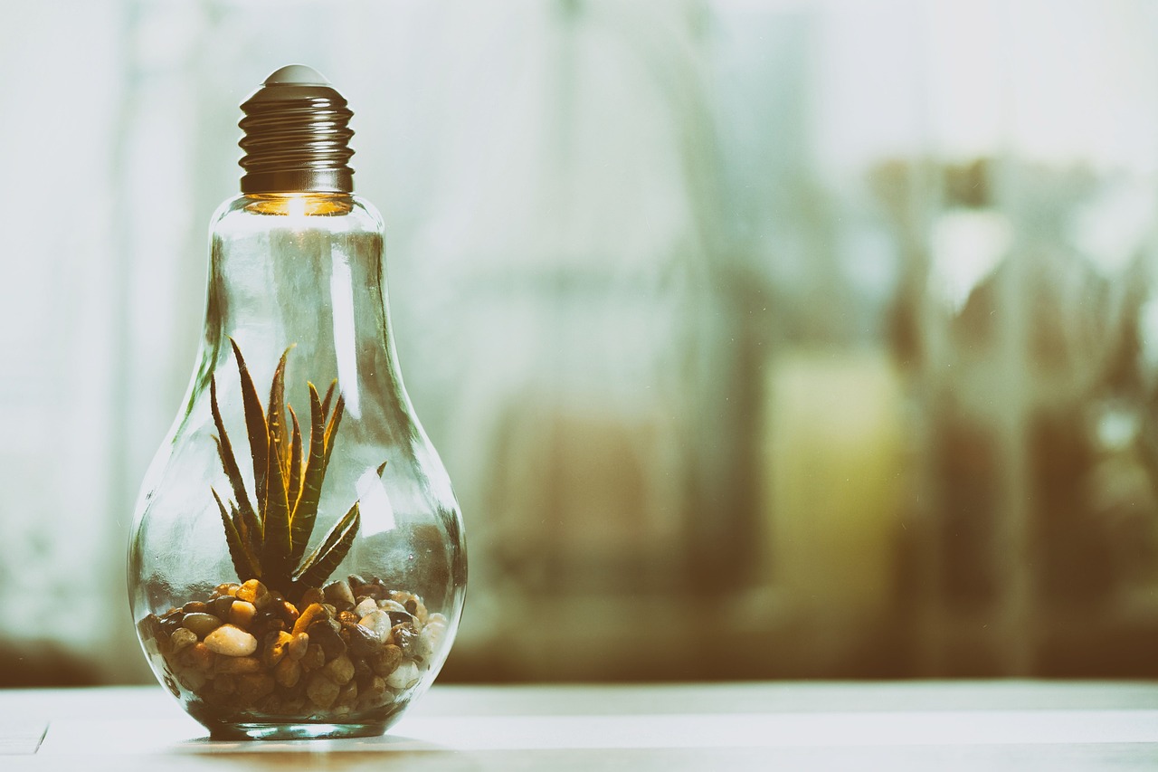 The Role of Environmental Activism in Society